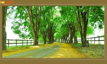 Imagem 5: Terreno em Condomínio Fechado para Venda