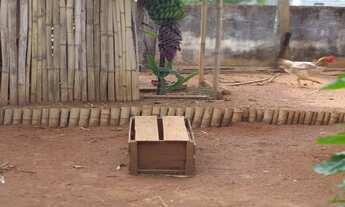 Imagem 6: CASA Á VENDA NO DOM BOSCO EM JAGUARIUNA