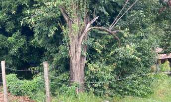 Imagem 5: Terreno com ótima localização, para o seu Comércio no Jardim Dona Irma a Venda!
