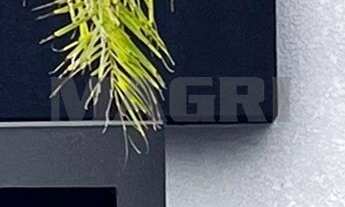 Imagem 2: SOBRADO RESIDENCIAL em PONTAL DO PARANÁ - PR, Canoas