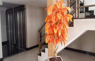 Imagem 3: APARTAMENTO RESIDENCIAL em Vitória - ES, Jardim Camburi