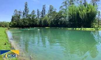 Imagem 3: SÍTIO COM 3 DORMITÓRIOS À VENDA, 70000 M² POR R$ 2.800.000,00 - SÃO BENTO - ARTUR NOGUEIRA