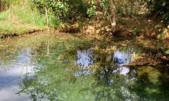 Imagem 5: SÍTIO COM 3 DORMITÓRIOS À VENDA, 70000 M² POR R$ 2.800.000,00 - SÃO BENTO - ARTUR NOGUEIRA