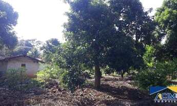 Imagem 7: CHÁCARA COM 3 DORMITÓRIOS À VENDA, 2000 M² POR R$ 450.000,00 - BANANAL - CAMPINAS/SP