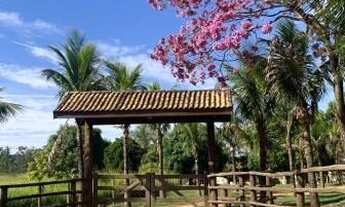 Imagem 2: SÍTIO COM 3 DORMITÓRIOS À VENDA, 70000 M² POR R$ 2.800.000,00 - SÃO BENTO - ARTUR NOGUEIRA