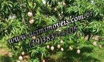 Imagem 3: CHÁCARA COM 5 DORMITÓRIOS À VENDA, 630 M² POR R$ 900.000 - SÃO PEDRO - JAGUARIÚNA/SP