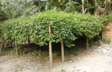 Imagem 7: 2 dormitórios na Estrada Municipal Rio Seco