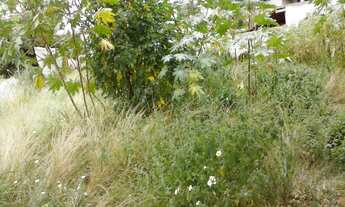 Imagem 2: 450M² de Área Total