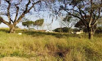 Imagem 2: 2920M² de Área Total na Rodovia Amaral Peixoto