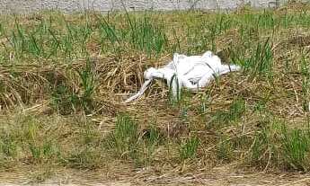 Imagem 4: 450M² de Área Total na Rua Mercúrio