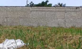 Imagem 5: 450M² de Área Total na Rua Mercúrio