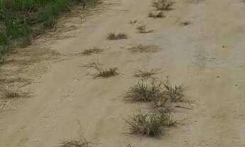 Imagem 6: 450M² de Área Total na Rua Mercúrio