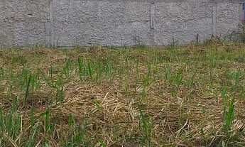 Imagem: 450M² de Área Total na Rua Mercúrio