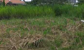 Imagem 2: 450M² de Área Total na Rua Mercúrio