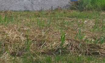 Imagem 3: 450M² de Área Total na Rua Mercúrio