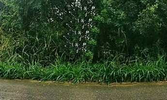 Imagem: Terreno com 2.000 m2 plano, Bairro Jardim