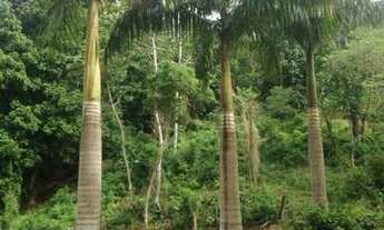 Imagem 5: 13650M² de Área Total na Rua Geraldo Da Rocha E Souza