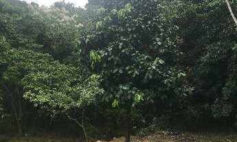 Imagem 6: 13650M² de Área Total na Rua Geraldo Da Rocha E Souza