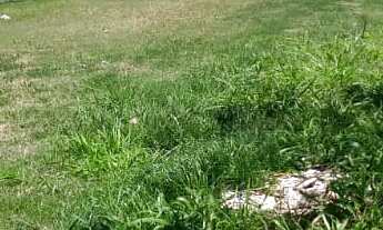 Imagem 7: 315M² de Área Total na Rua J