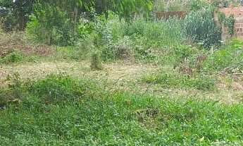 Imagem 2: 1680M² de Área Total na Rua Das Tocas