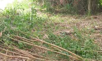 Imagem 4: 1680M² de Área Total na Rua Das Tocas