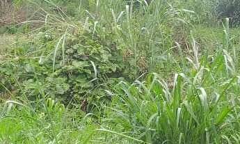 Imagem 5: 1680M² de Área Total na Rua Das Tocas