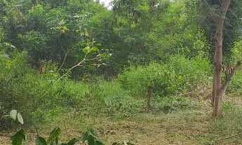 Imagem 6: 1680M² de Área Total na Rua Das Tocas