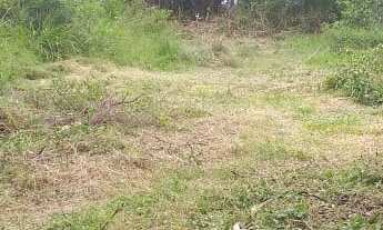 Imagem 7: 1680M² de Área Total na Rua Das Tocas