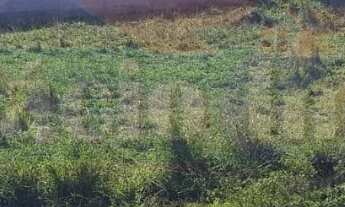 Imagem: 640M² de Área Total na Rua Praia De Marambaia