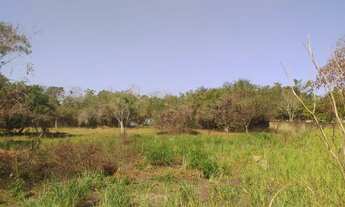 Imagem: 2395M² de Área Total na Rua Helena Quaresma