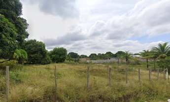 Imagem: Na Rua Oscarina Penetra De Nazareth