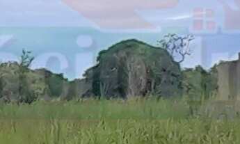 Imagem 2: 1200M² de Área Total na Rua Asfalto Velho