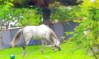 Imagem 6: 3 dormitórios na Avenida Jacarepia Do Norte Com Rua Praia Do Moleque