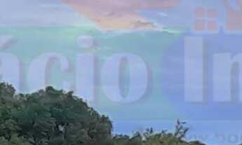 Imagem 3: 1200M² de Área Total na Rua Asfalto Velho