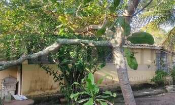 Imagem 4: 4 dormitórios na Rua Adalberto Ramos