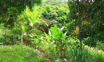 Imagem 6: 3 dormitórios na Estrada Do Pinheiro