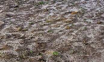 Imagem 2: 2 dormitórios na Rua Nossa Sr. De Nazare