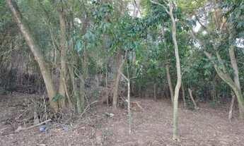 Imagem 6: 1278M² de Área Total na Estrada Do Saco