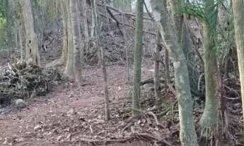 Imagem 2: 1278M² de Área Total na Estrada Do Saco