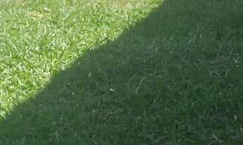 Imagem 5: 2 dormitórios na Rua Fortaleza