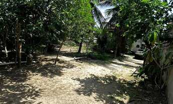 Imagem 2: 3 dormitórios na Rua Theófilo D ávila