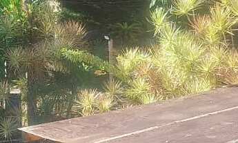 Imagem 4: 5 dormitórios na Rua Ulisses Pinto