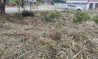 Imagem 6: 448M² de Área Total na Rua 13