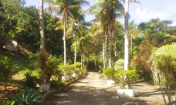 Imagem 3: 5 dormitórios na Rua Ulisses Pinto