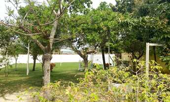 Imagem 5: 450M² de Área Total na Rua Quinze