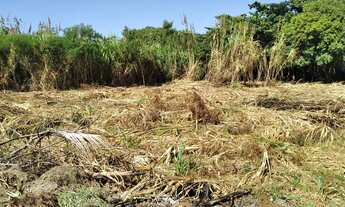 Imagem 6: 1750M² de Área Total na Rua Das Tocas