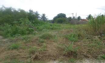 Imagem: 450M² de Área Total na Rua H