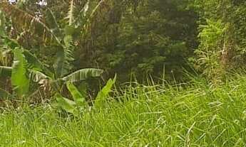 Imagem: 16000M² de Área Total na Estrada Do Serrano