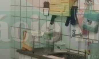 Imagem 5: 2 dormitórios na Rua Das Tocas