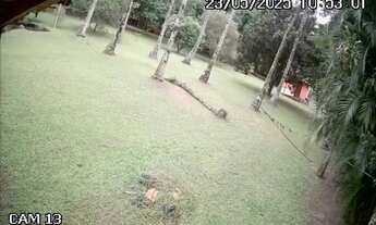 Imagem 3: 6 dormitórios na Rua Rinaldo Francisco Alves